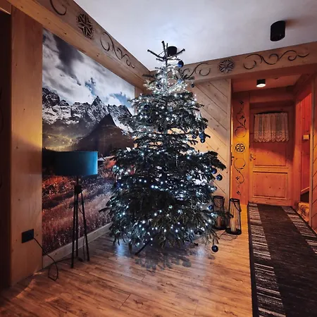 Palider * Zakopane